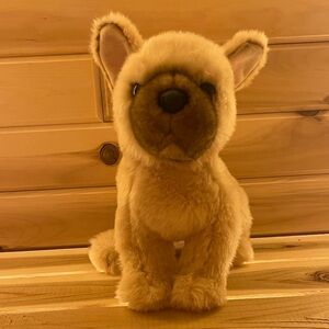 Douglas Napoleon French Bulldog